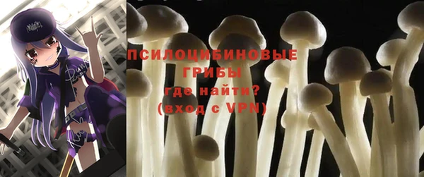 тгк Аркадак