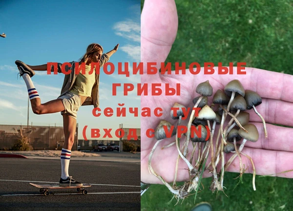тгк Аркадак