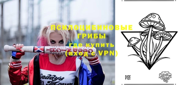 не бодяженный Арсеньев