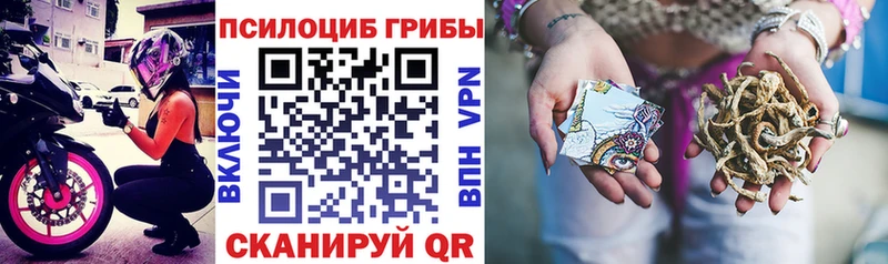 Галлюциногенные грибы прущие грибы  Любим 
